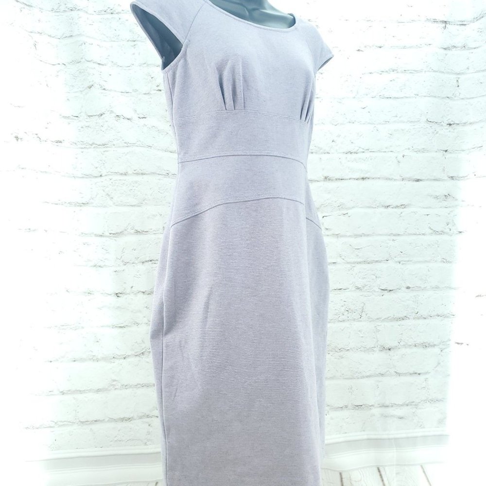 Calvin Klein Womens Lavender Heathered Sleeveless Round Neck Sheath Dress Size 4